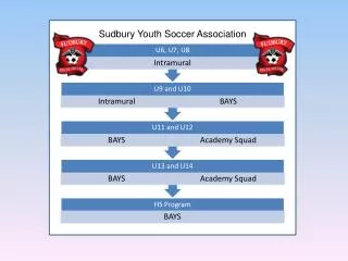 Sudbury Youth Soccer Association