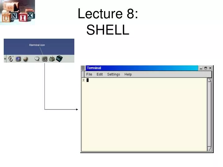 lecture 8 shell