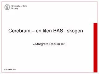 cerebrum en liten bas i skogen