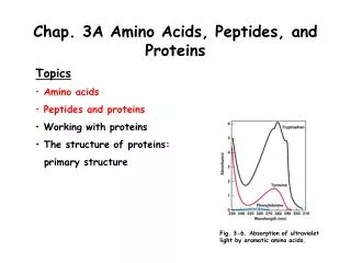 Chap. 3A Amino Acids, Peptides, and Proteins