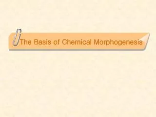 the basis of chemical morphogenesis