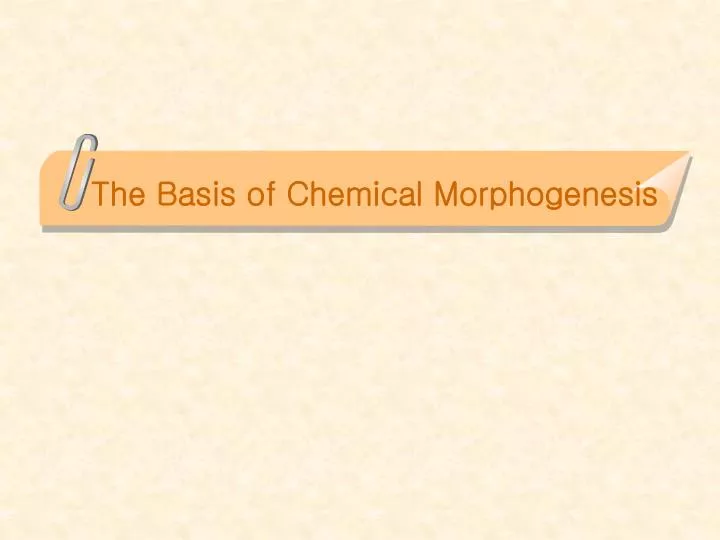 the basis of chemical morphogenesis