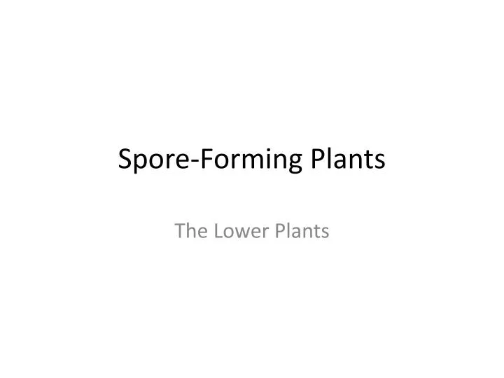 spore forming plants