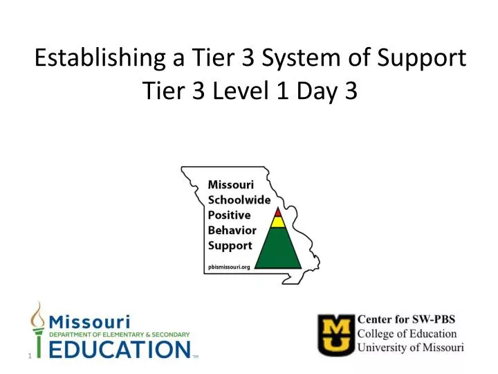 establishing a tier 3 system of support tier 3 level 1 day 3