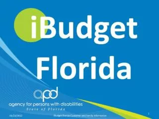 Overall Goals of iBudget Florida