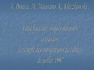 A. Dineva, M. Maiurano, K. Kleczkowski : Faire face aux risques naturels à travers