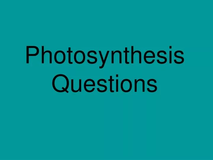 photosynthesis questions
