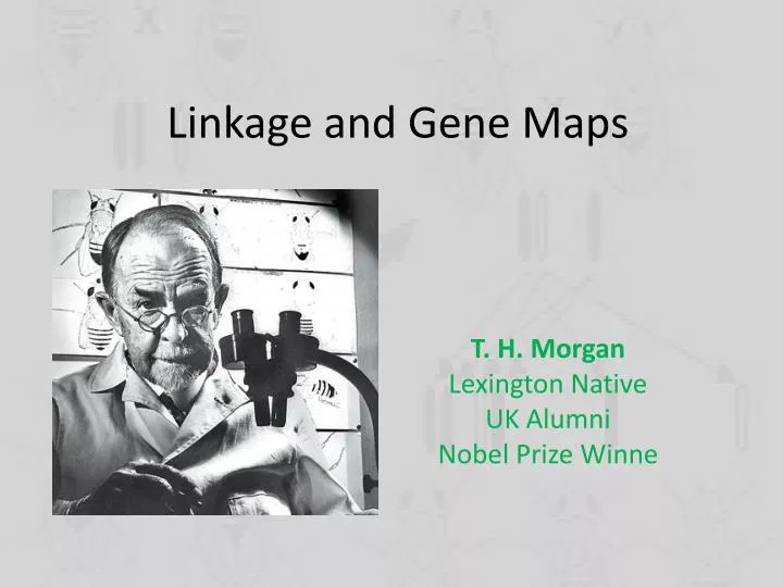 linkage and gene maps