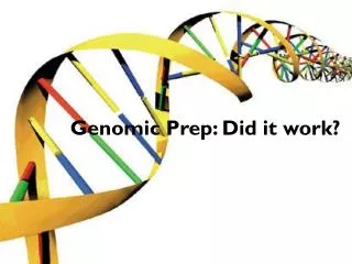 Genomic Prep: Did it work?