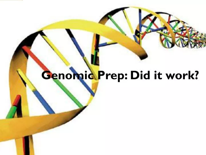genomic prep did it work