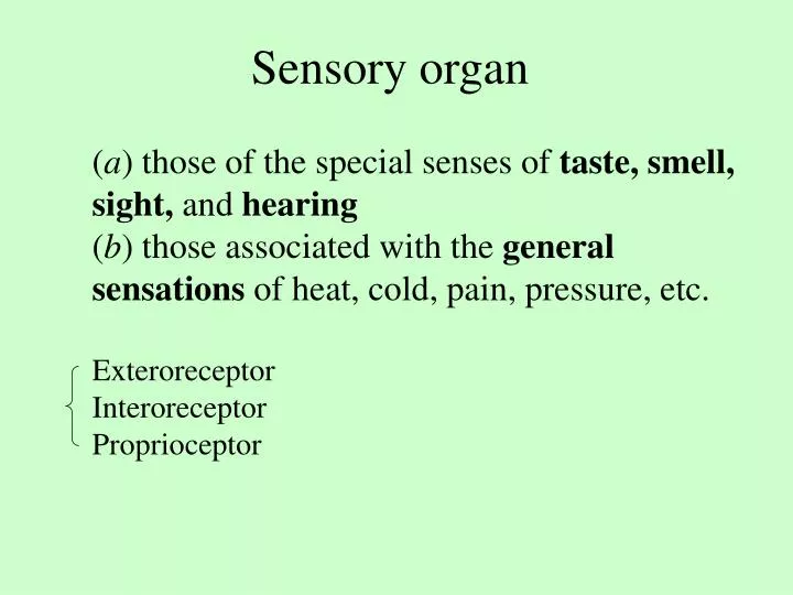 sensory organ