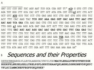 Sequences and their Properties