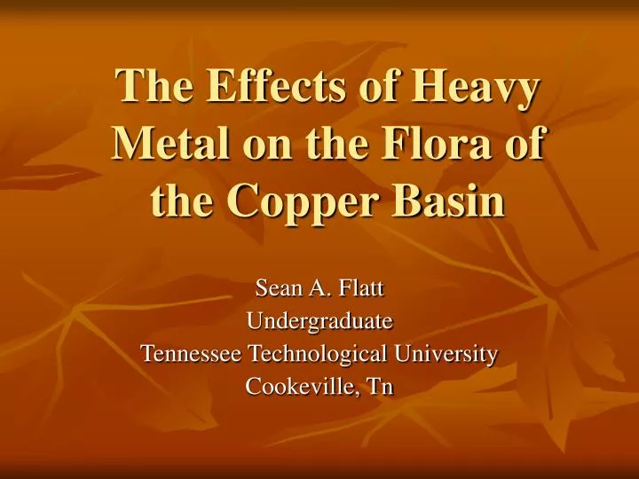 the effects of heavy metal on the flora of the copper basin