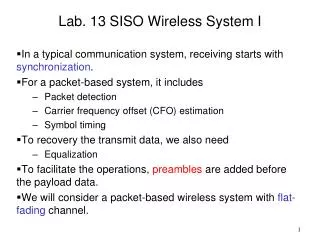 Lab. 13 SISO Wireless System I