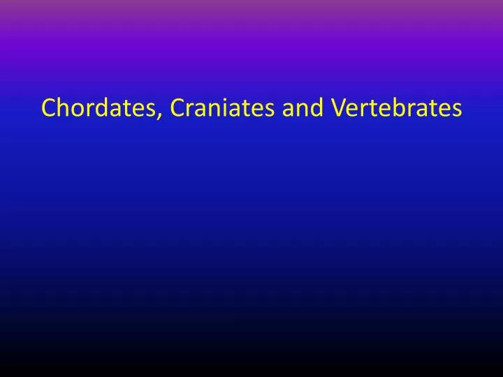 chordates craniates and vertebrates