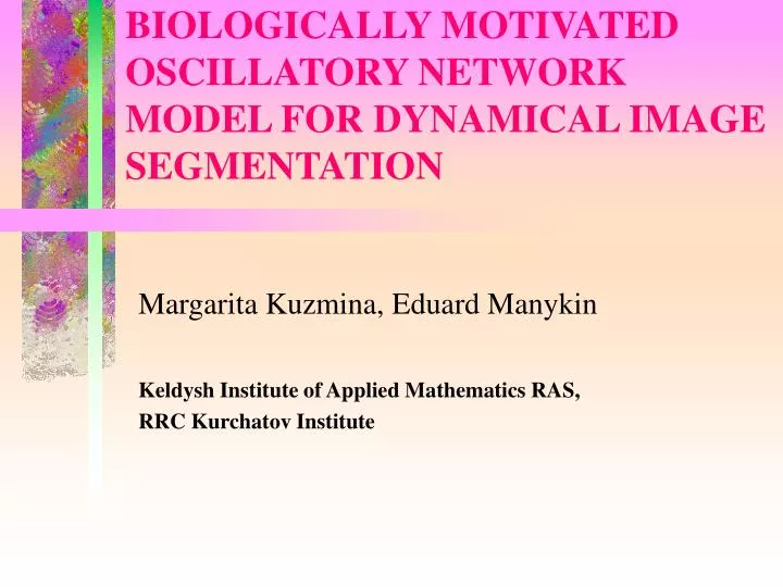 biologically motivated oscillatory network model for dynamical image segmentation