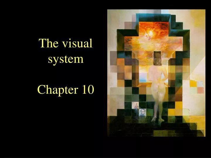 the visual system chapter 10