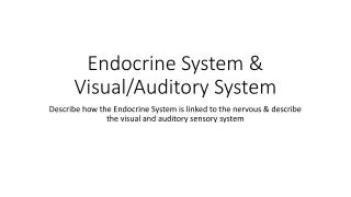Endocrine System &amp; Visual/Auditory System