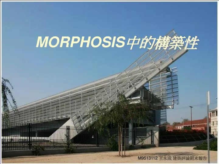 morphosis