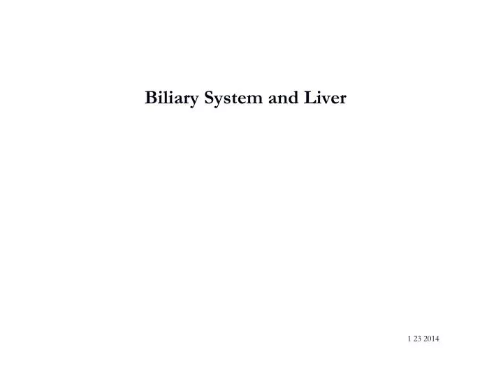 biliary system and liver