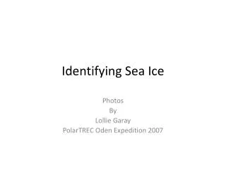 Identifying Sea Ice