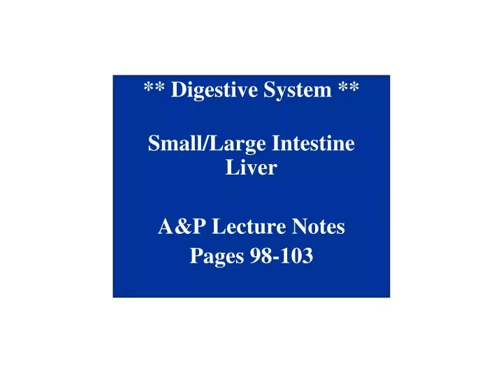 digestive system small large intestine liver a p lecture notes pages 98 103