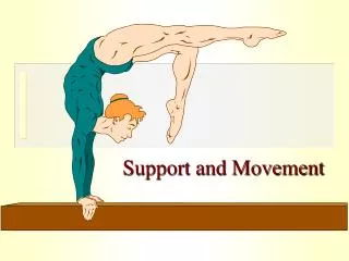 Support and Movement