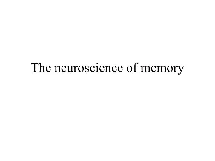 the neuroscience of memory