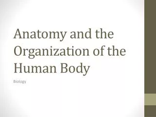 Anatomy and the Organization of the Human Body