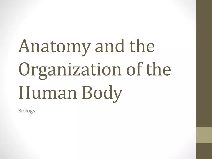 anatomy and the organization of the human body