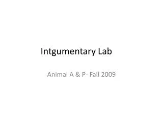 Intgumentary Lab