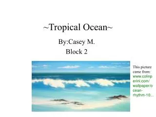 ~Tropical Ocean~