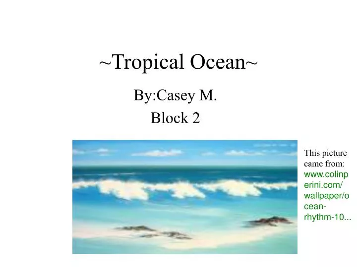 tropical ocean