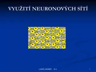 vyu it neuronov ch s t