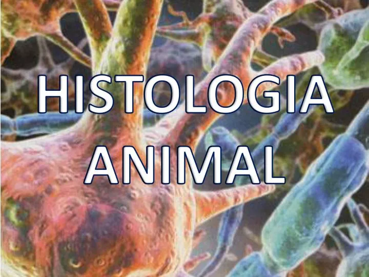 histologia animal