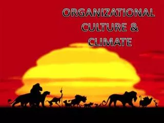 ORGANIZATIONAL CULTURE &amp; CLIMATE