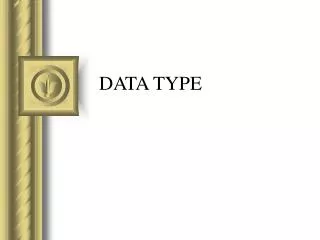 data type