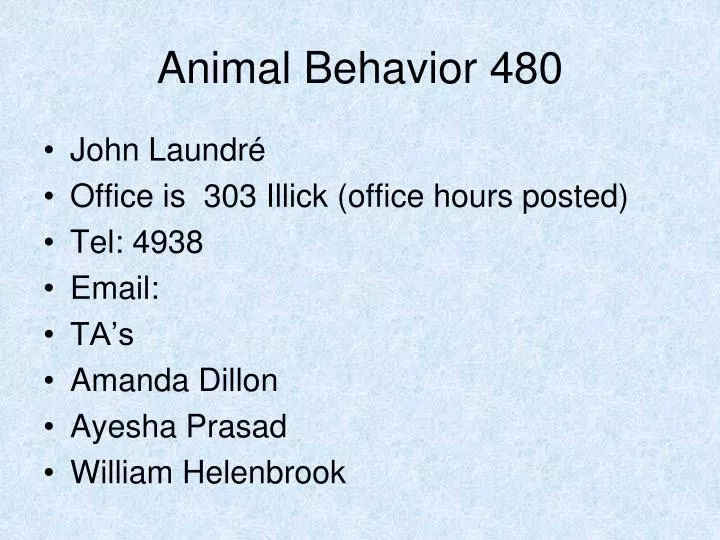 animal behavior 480
