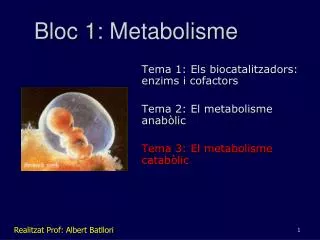 bloc 1 metabolisme