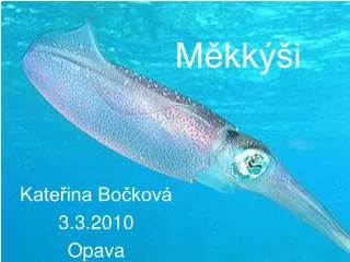 m kk i