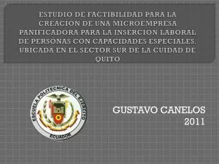 gustavo canelos 2011