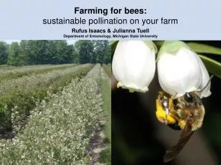 Farming for bees: sustainable pollination on your farm