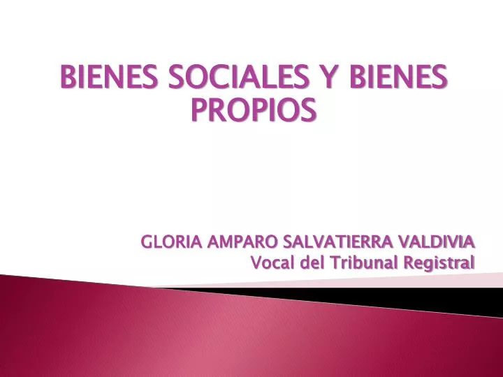 bienes sociales y bienes propios gloria amparo salvatierra valdivia vocal del tribunal registral