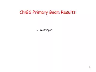 CNGS Primary Beam Results