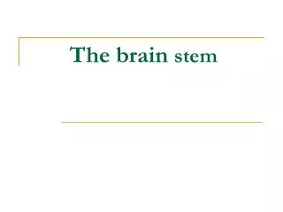 The brain stem