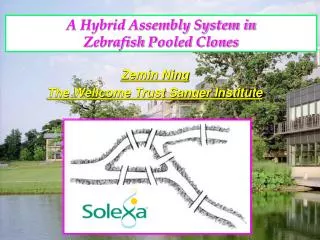 A Hybrid Assembly System in Zebrafish Pooled Clones