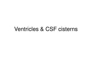 Ventricles &amp; CSF cisterns