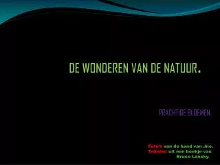 de wonderen van de natuur