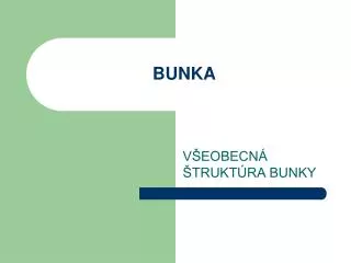 bunka