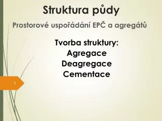struktura p dy